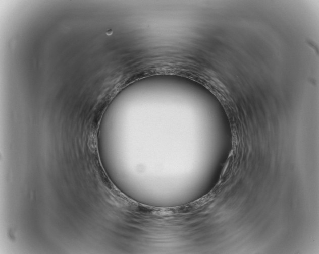 X0000095520419200712140914