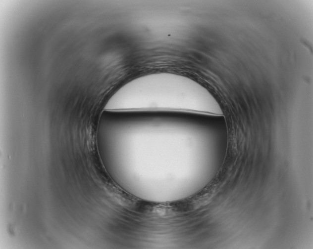 X0000095520420200712140914
