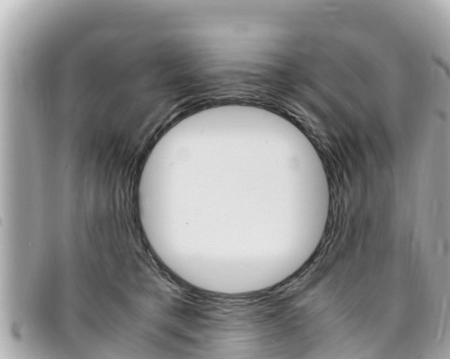 X0000095520421200712140914