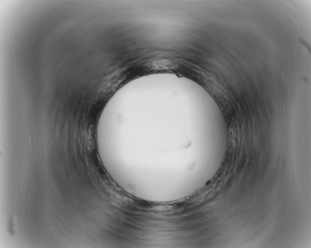 X0000095520422200712140914