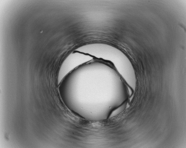 X0000095520423200712140914