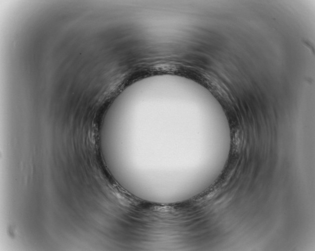X0000095520424200712140914
