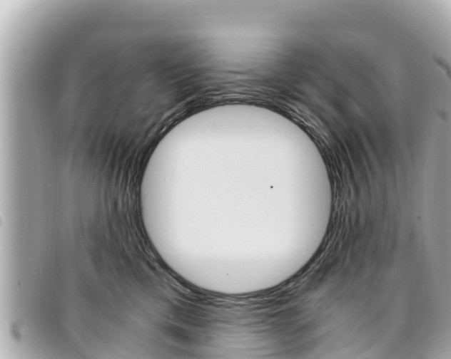 X0000095520425200712140914