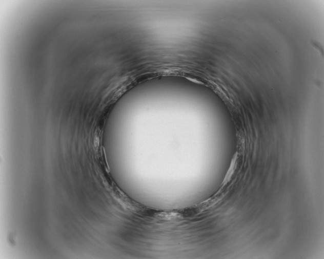 X0000095520427200712140914