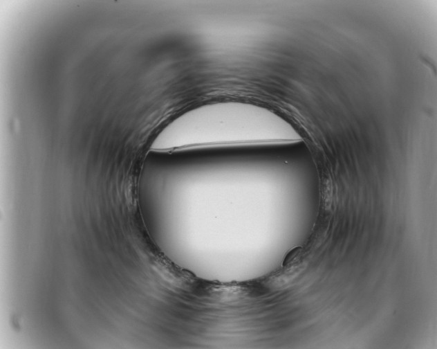 X0000095520428200712140914