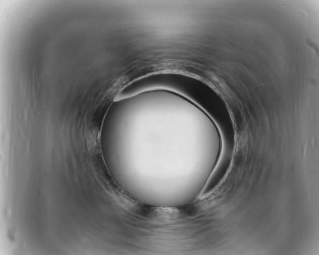 X0000095520429200712140914