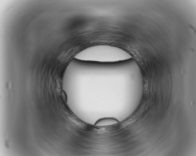 X0000095520430200712140913