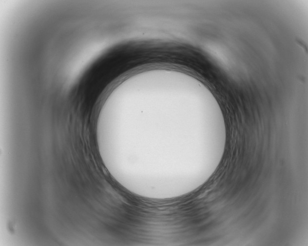 X0000095520431200712140913