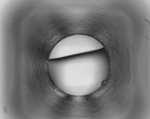 X0000095520432200712140913