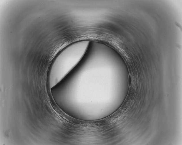 X0000095520434200712140913