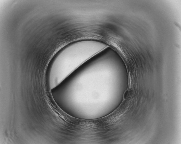 X0000095520435200712140913