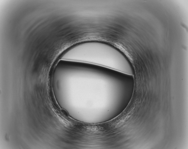 X0000095520439200712140913