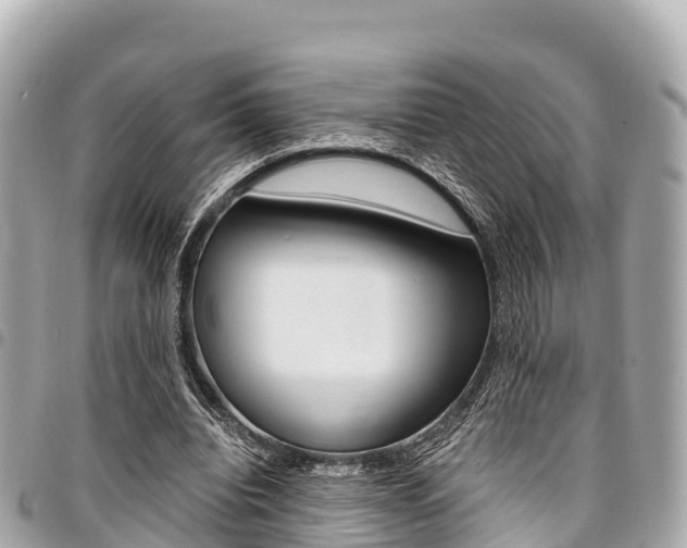 X0000095520440200712140913