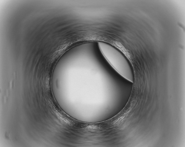 X0000095520441200712140913