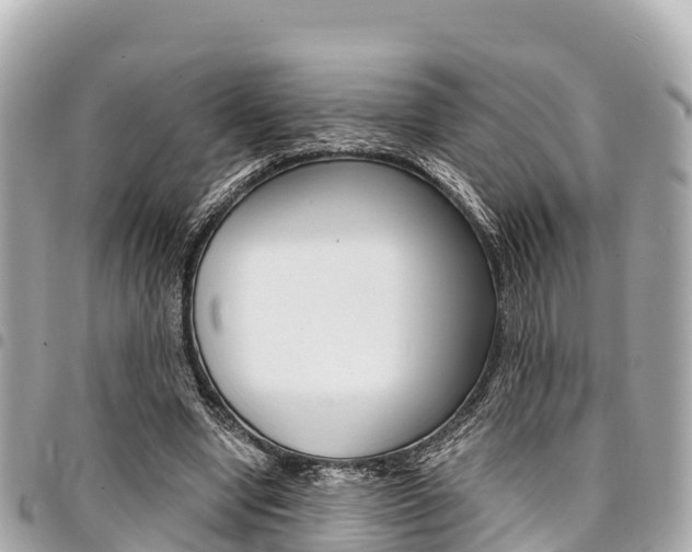 X0000095520442200712140913