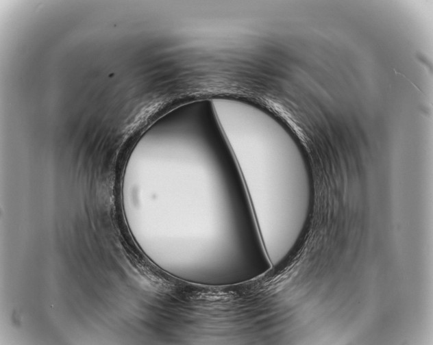 X0000095520443200712140913