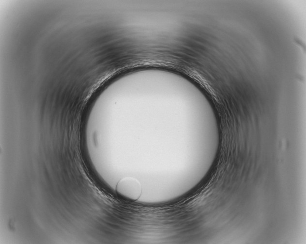 X0000095520444200712140913