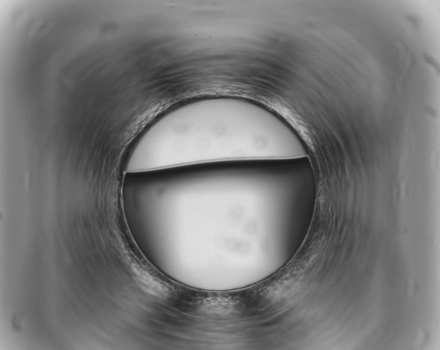 X0000095520445200712140913