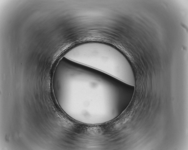 X0000095520446200712140913