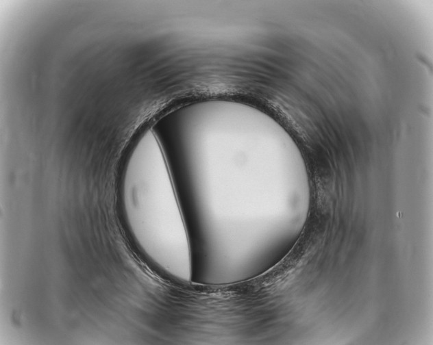 X0000095520447200712140913