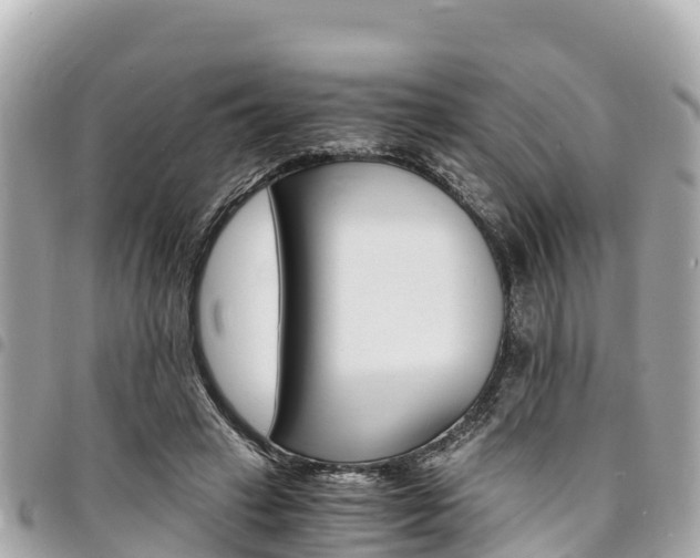 X0000095520449200712140913