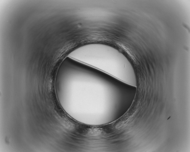 X0000095520451200712140913