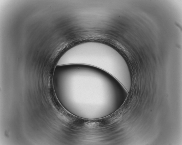X0000095520452200712140913