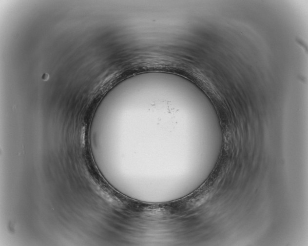X0000095520454200712140913