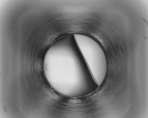 X0000095520455200712140913