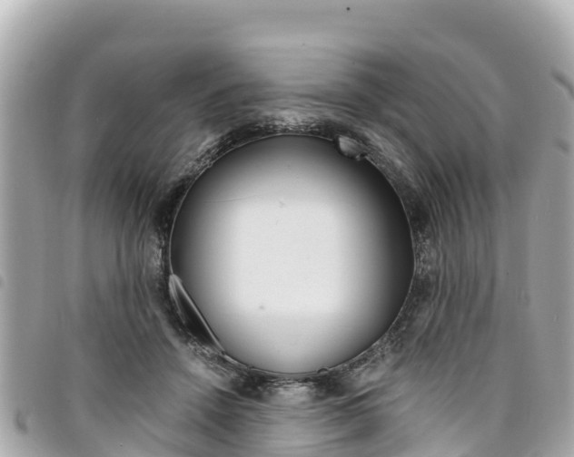X0000095520456200712140913