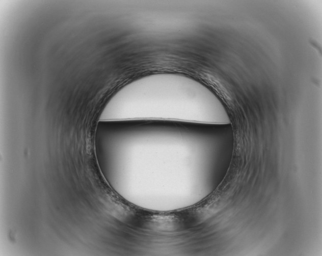 X0000095520457200712140913