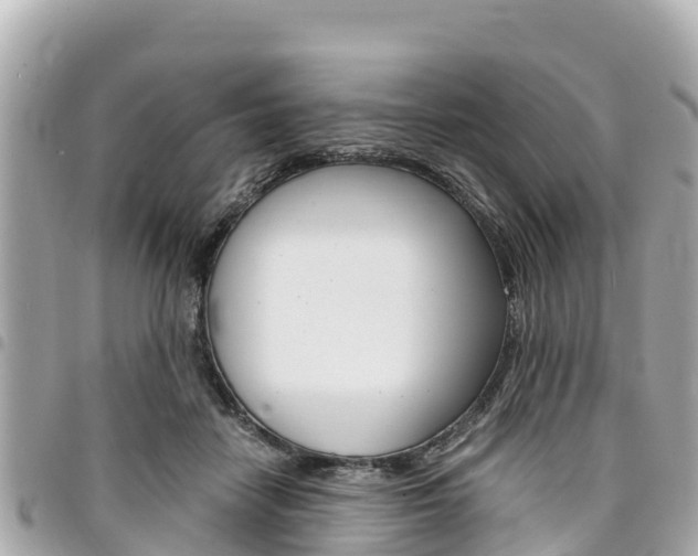X0000095520458200712140913