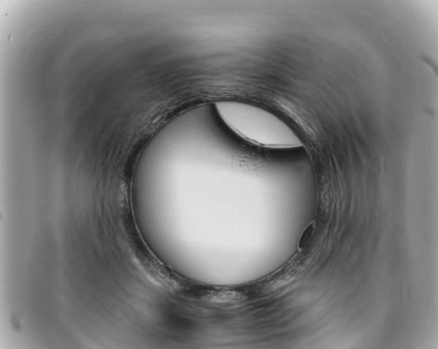X0000095520459200712140913