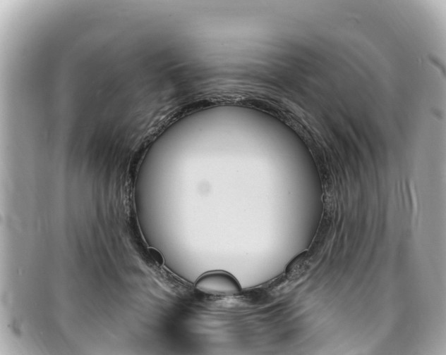 X0000095520460200712140913