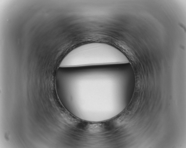 X0000095520461200712140913
