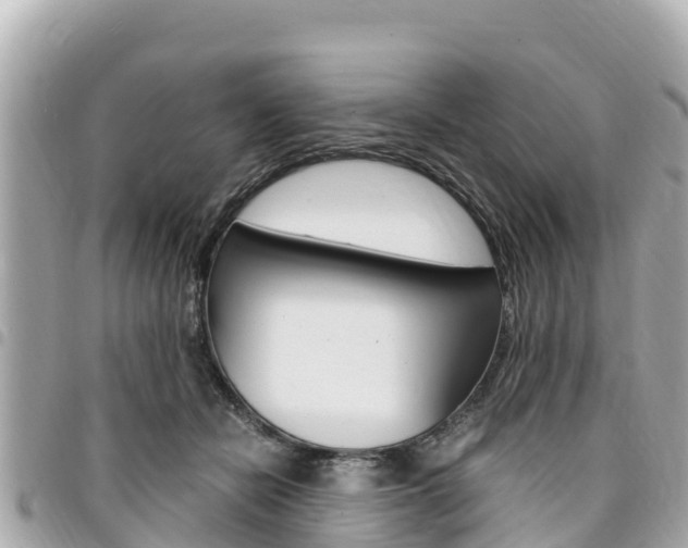 X0000095520462200712140913