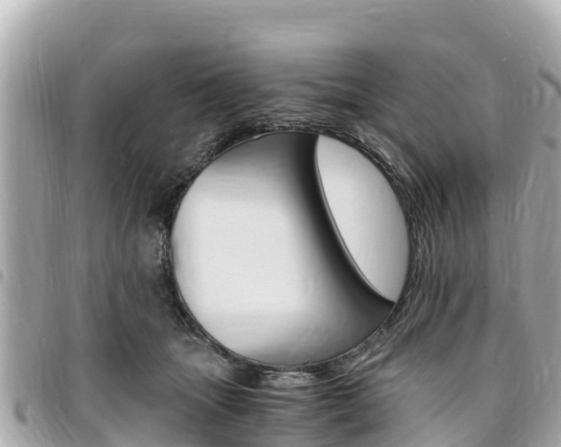 X0000095520463200712140913