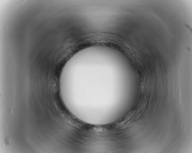 X0000095520464200712140913