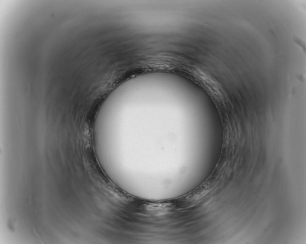 X0000095520465200712140913