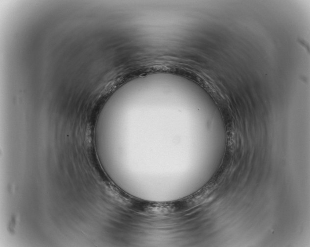 X0000095520466200712140913