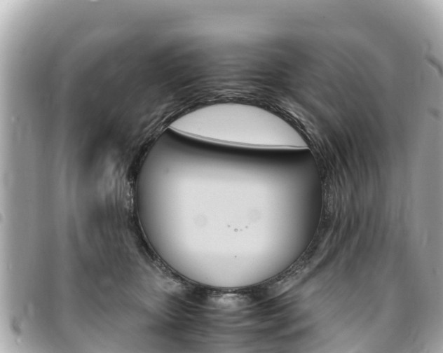 X0000095520467200712140913