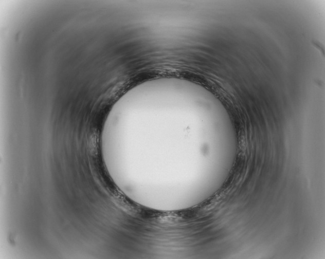 X0000095520468200712140913