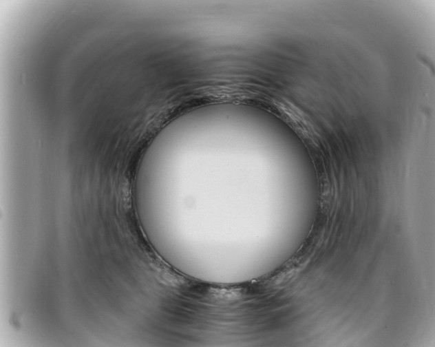 X0000095520469200712140913