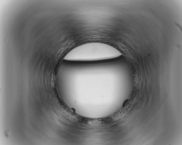 X0000095520470200712140913