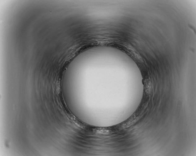X0000095520471200712140913