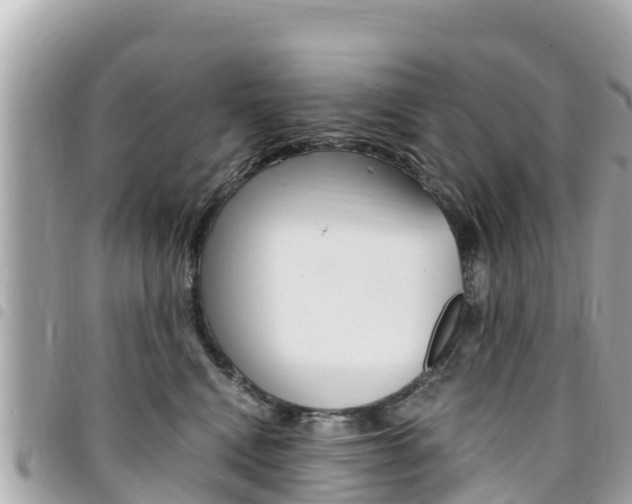 X0000095520472200712140913