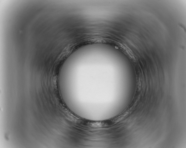 X0000095520473200712140913