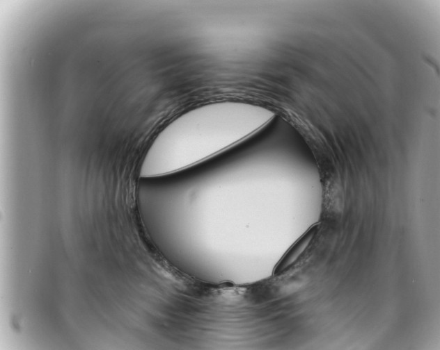X0000095520474200712140913