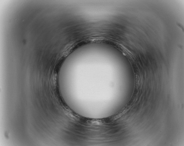 X0000095520475200712140913