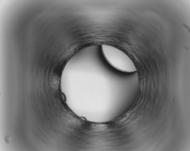 X0000095520476200712140913